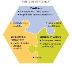 Unen Vaikutus Tunteisiin Ja Mielialaan