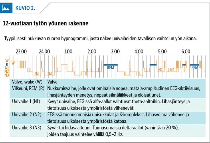 Unihäiriöt Ja Niiden Vaikutus Rem-Uniin